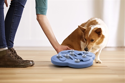 Nina Ottosson Dog Hide N’ Slide | Interactieve Hondenpuzzel
