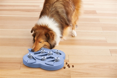 Nina Ottosson Dog Hide N’ Slide | Interactieve Hondenpuzzel