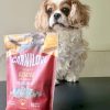 Mila naast een zak Carnilove Crunchy Struisvogel & Bramen hondensnacks