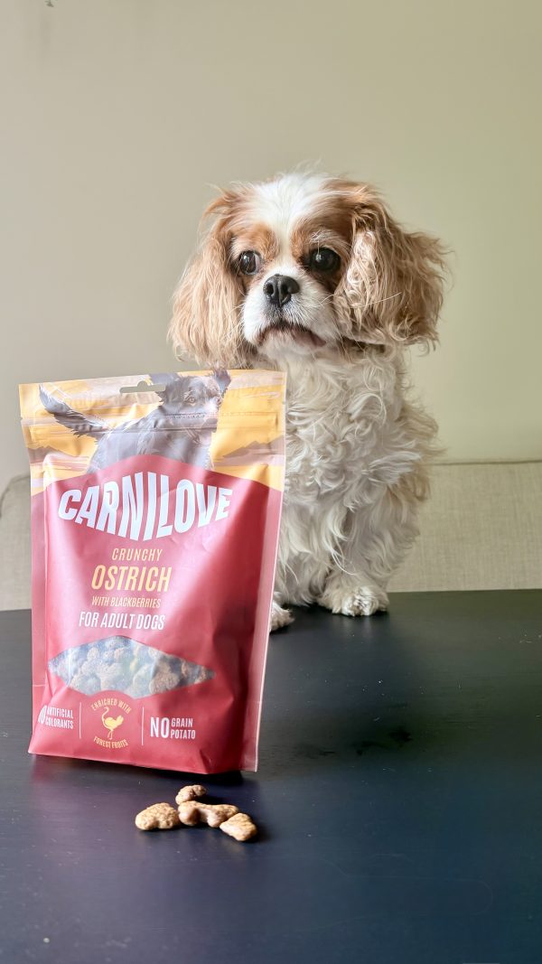 Mila naast een zak Carnilove Crunchy Struisvogel & Bramen hondensnacks