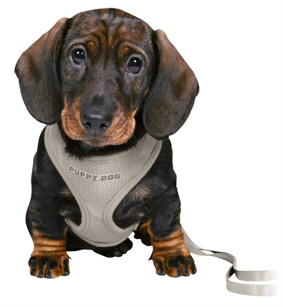 Trixie Junior Puppy Tuigje met Riem | Lichtgrijs