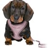 Trixie Junior Puppy Tuigje met Riem | Lila