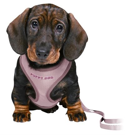 Trixie Junior Puppy Tuigje met Riem | Lila