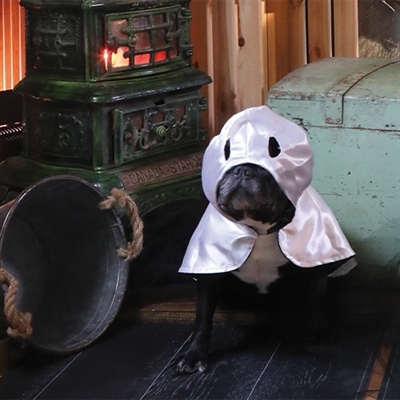 Croci Tricky Ghost | Halloween cape voor honden