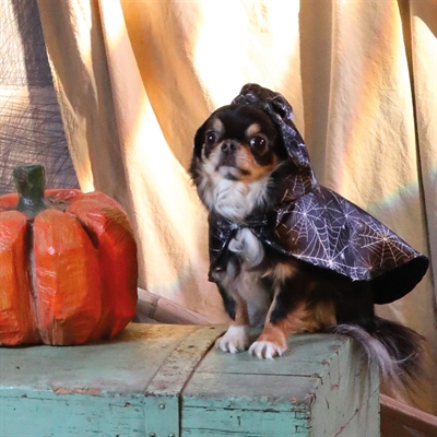 Croci Tricky Ghost | Halloween cape voor honden