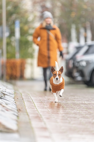 Trixie CityStyle Berlin Hondentrui | Bruin