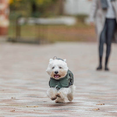 Trixie Explore Thermo Winterjas voor Hond | Olijfgroen
