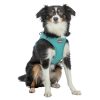 Trixie Urbanvest Mesh Hondentuig | Aqua