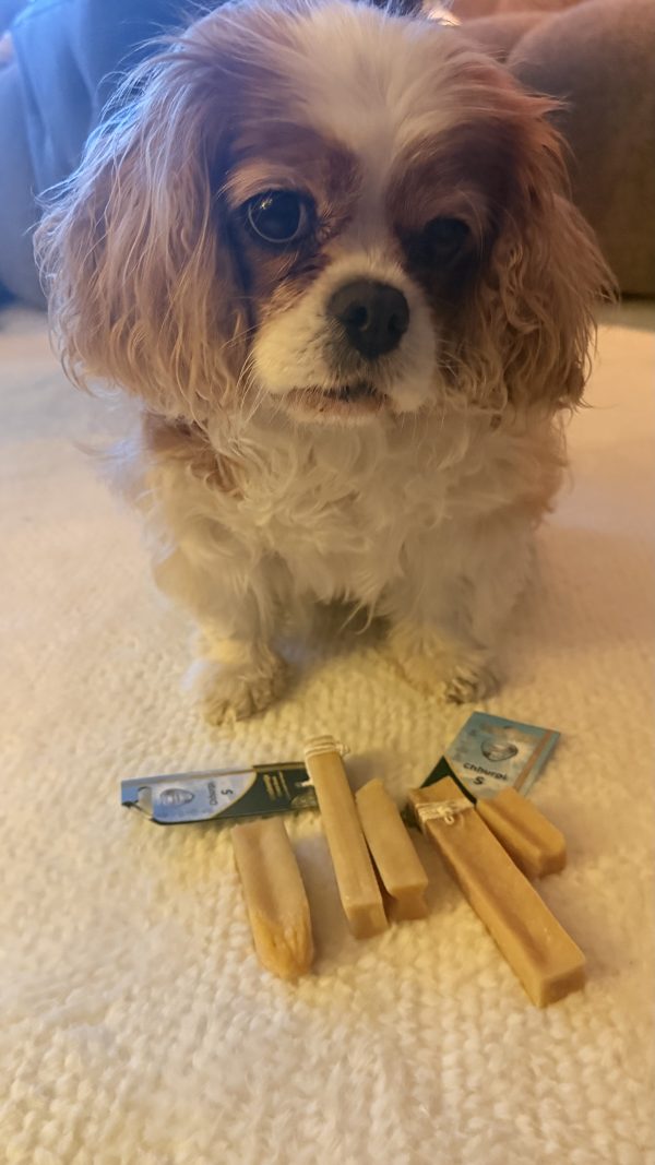 mila met kauwbot